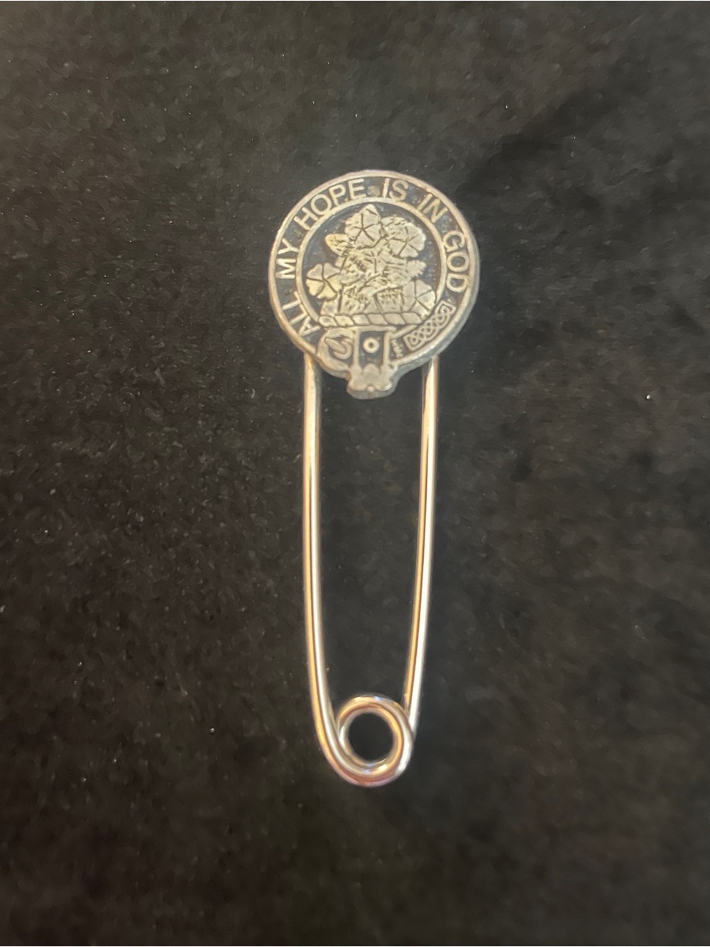 VINTAGE RARE Clan Fraser Scottish crest badge brooch LARGE 3” safety pin! - Picture 2 of 3